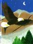 Yearbook: The Eagle, Yearbook of Stephen F. Austin High School, 1993