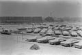 Photograph: [Lamar University Campus Covered in Snow]