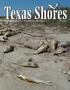 Primary view of Texas Shores, Volume 40, Number 2, Spring/Summer 2012