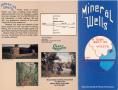 Pamphlet: [A Brochure, Titled "Mineral Wells - A Town Built on Water"]