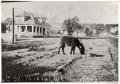Photograph: [A Donkey on 6th Street Mineral Wells, 1916]