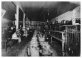 Photograph: [W. W. Howard's Hardware Store]