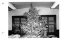Photograph: 1952 Christmas Party