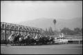 Photograph: [Photograph of Horse Race]
