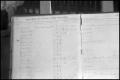 Primary view of [Photograph of Marks and Brands Register]