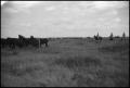 Photograph: [Photograph of Cowboys and Horses]