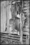 Primary view of [Photograph of Cowboy Accoutrements]