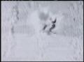 Video: [News Clip: Free style skiing]