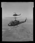 Photograph: [Photograph of two UH-1E Iroquois helicopters flying high over pastur…