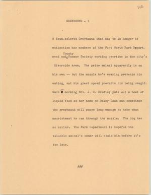 Primary view of object titled '[News Script: Greyhound]'.