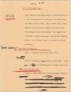 Primary view of object titled '[News Script: Buffalo]'.