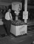 Photograph: [Keith's Apple Display at Willis Food Store]