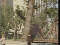 Video: [News Clip: Tree lift]