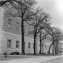 Photograph: [exterior of Matthews Hall by trees]