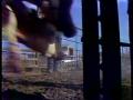 Video: [News Clip: Beef prices]