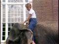 Video: [News Clip: Elephant walk]