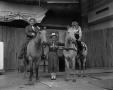 Photograph: [Bobby Peters and two horses with guests]