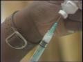 Video: [News Clip: School immunizations]