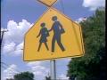 Video: [News Clip: School crossing]