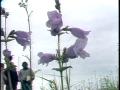 Video: [News Clip: Earth Day (weeds)]