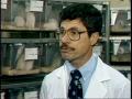 Video: [News Clip: Animal research]