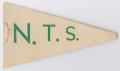 Primary view of [N.T.S. pennant]