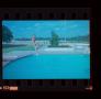 Primary view of [Photograph of a boy jumping into a pool]