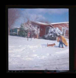 Primary view of [Photograph of an individual and a dog in the snow]