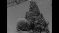 Primary view of [News Clip: Texas Tallest Christmas Tree]