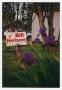 Photograph: [Photograph of Bill Nelson City Council campaign sign]