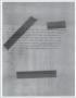 Thumbnail image of item number 1 in: '[News Script: Missing bird]'.