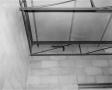 Photograph: [Photograph of a squirrel on the ceiling]