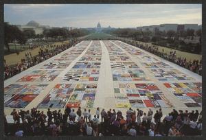 Primary view of object titled '[AIDS quilt at Washington]'.