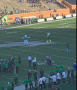 Photograph: [Albino Squirrel Mascot and Scrappy at UNT Home Football Game]