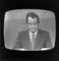 Photograph: [A reporter on a television screen]