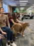 Primary view of [Abigail Mueller and Maren Garcia petting therapy dog]