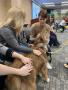 Photograph: [Jodi Rhinehart-Doty and Rachael Zipperer petting therapy dog]