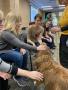 Photograph: [Jodi Rhinehart-Doty and Rachael Zipperer petting therapy dog]