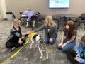 Primary view of [Shannon Williams, Jodi Rhinehart-Doty, and Adriance Rhoades with therapy dog]