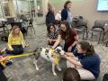 Primary view of [Maren Garcia and Abigail Mueller with therapy dog]