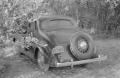 Photograph: [Photograph of an automobile in a wooded area]