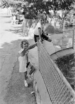 Primary view of object titled '[Photograph of Carol and Tim Williams playing on a fence]'.