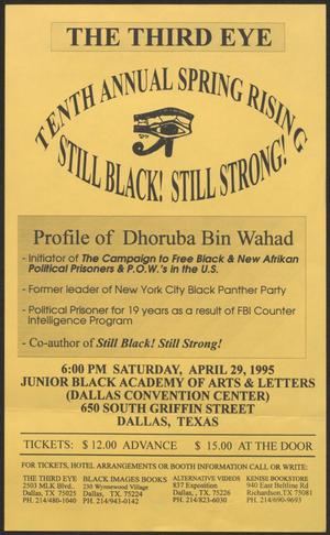 Primary view of object titled '[Flyer: Tenth Annual Spring Rising - Still Black! Still Strong!]'.