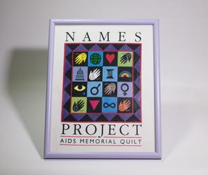 Primary view of object titled '[NAMES Project framed poster]'.