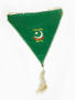 Primary view of [Pakistan soccer flag]