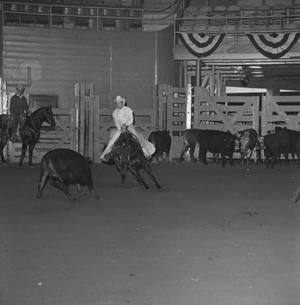 Primary view of object titled '[Inez Black Gold competing at LSU]'.