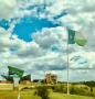 Photograph: [Apogee Stadium and UNT flag from I-35]