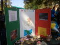 Photograph: [Mexico board display]