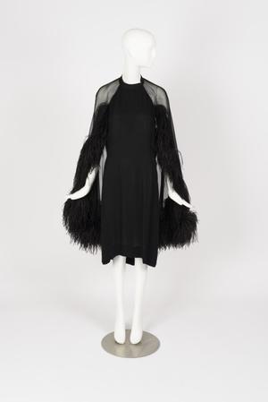Primary view of object titled 'Dinner dress'.