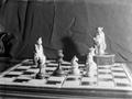 Photograph: [Photograph of a chess board with two figurines]